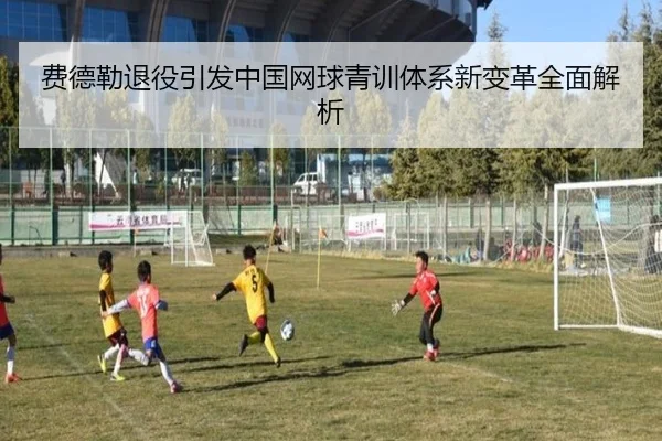 费德勒退役引发中国网球青训体系新变革全面解析