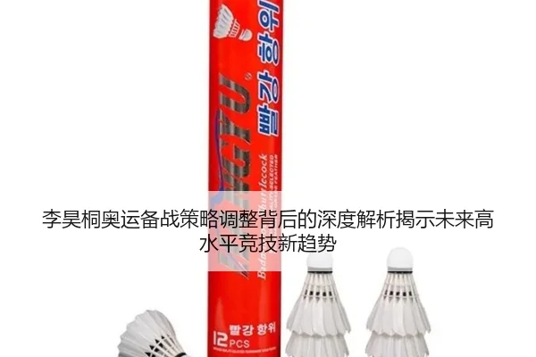 李昊桐奥运备战策略调整背后的深度解析揭示未来高水平竞技新趋势