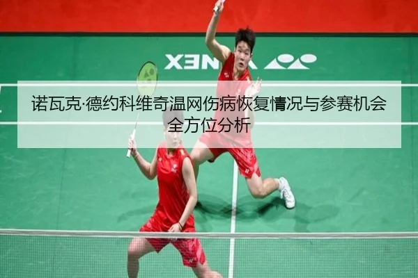nuo-wa-ke-de-yue-ke-wei-qi-wen-wang-shang-bing-hui-fu-qing-kuang-yu-can-sai-ji-hui-quan-fang-wei-fen-xi-2-388.jpg