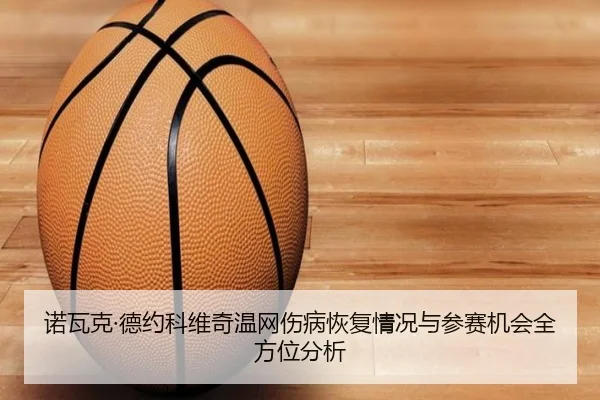 诺瓦克·德约科维奇温网伤病恢复情况与参赛机会全方位分析
